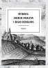 Okładka książki Rybnik. Dzieje miasta i jego dzielnic. Tom I Jakub Abrahamowicz,&nbsp;Adam Dziuba,&nbsp;Damian Halmer,&nbsp;Zbigniew Hojka,&nbsp;Marcin Jarząbek,&nbsp;Dawid Keller,&nbsp;Bogdan Kloch,&nbsp;Jerzy Sperka,&nbsp;Mirosław Węcki,&nbsp;praca zbiorowa