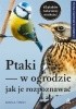 Ptaki w ogrodzie. Jak je rozpoznawać