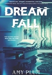Okładka książki Dreamfall Amy Plum