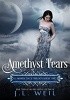 Okładka książki Amethyst Tears J.L. Weil