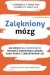 Zalękniony mózg
