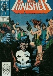 The Punisher Vol.2 #12