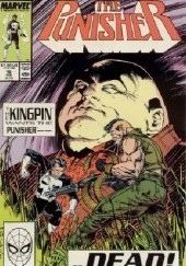 The Punisher Vol.2 #16