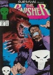 The Punisher Vol.2 # 77