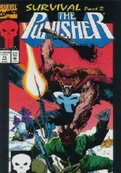 The Punisher Vol.2 #78