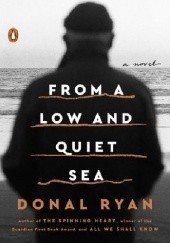 Okładka książki From a Low and Quiet Sea Donal Ryan