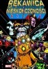 Okładka książki Rękawica Nieskończoności Ron Lim,&nbsp;George Pérez,&nbsp;Jim Starlin
