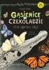 Okładka książki Gąsienice w czekoladzie i inne tajemnice motyli Krzysztof Pabis