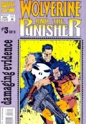 Okładka książki Wolverine/Punisher: Damaging Evidence Gary Erskine, Carl Potts