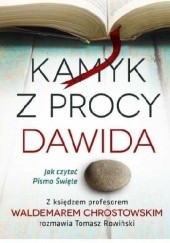 Okładka książki Kamyk z procy Dawida Waldemar Chrostowski
