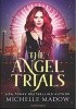 Okładka książki The Angel Trials (Dark World: The Angel Trials Book 1 Michelle Madow