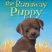Okładka książki Buttons the Runaway Puppy Holly Webb