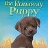Buttons the Runaway Puppy