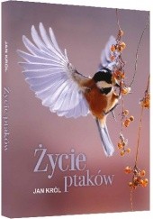Okładka książki Życie ptaków Jan Król