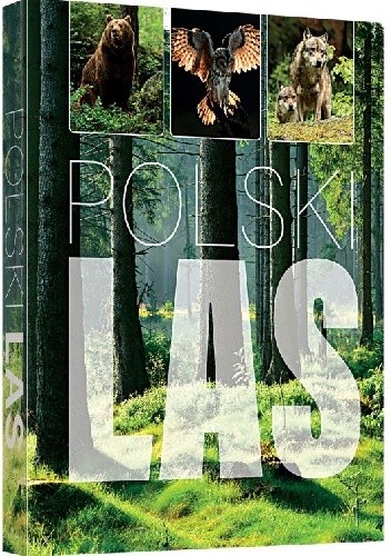 Okładka książki Polski las Joanna Kapusta, Piotr Kapusta