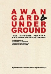 Awangarda/Underground. Idee, historie, praktyki w kulturze polskiej i czeskiej