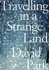 Okładka książki Travelling in a Strange Land David Park
