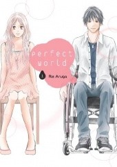 Okładka książki Perfect World #01 Rie Aruga