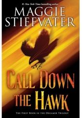 Okładka książki Call Down the Hawk Maggie Stiefvater
