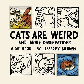 Cats are weird and more observations
