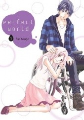 Okładka książki Perfect World #03 Rie Aruga