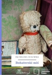 Okładka książki Bohaterski miś Bronisława Ostrowska