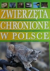 Okładka książki Zwierzęta chronione w Polsce Paweł Czapczyk