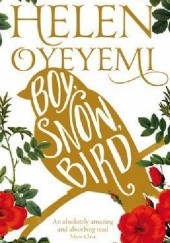 Okładka książki Boy, Snow, Bird Helen Oyeyemi