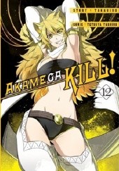 Okładka książki Akame ga Kill! #12 Takahiro, Tetsuya Tashiro