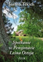 Okładka książki Spotkanie w Pensjonacie Leśna Ostoja Joanna Tekieli