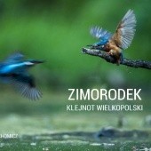 Okładka książki Zimorodek – klejnot Wielkopolski Krzysztof Chomicz