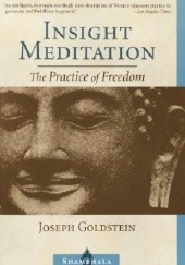 Okładka książki Insight Meditation:The Practice of Freedom Joseph Goldstein
