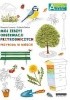 Okładka książki Przyroda w mieście. Mój zeszyt obserwacji przyrodniczych. Akademia mądrego dziecka Francois Lasserre