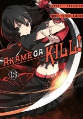 Okładka książki Akame ga Kill! #13 Takahiro, Tetsuya Tashiro