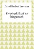 Okładka książki Zwycięski koń na biegunach David Herbert Lawrence