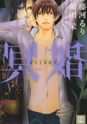 Okładka książki Meikon Ruri Fujikawa, Sakae Maeda