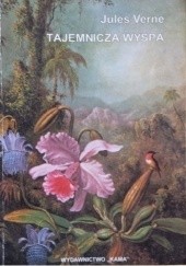 Okładka książki Tajemnicza wyspa Juliusz Verne