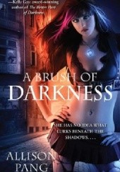 Okładka książki A Brush of Darkness Allison Pang