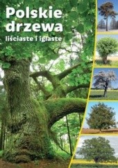 Okładka książki Polskie drzewa liściaste i iglaste praca zbiorowa