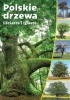 Okładka książki Polskie drzewa liściaste i iglaste praca zbiorowa