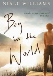 Okładka książki Boy in the World Niall Williams