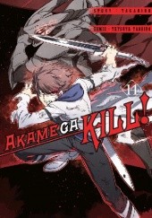 Okładka książki Akame ga Kill! #14 Takahiro, Tetsuya Tashiro