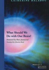 What Should We Do with Our Brain? 