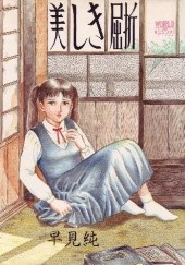 Okładka książki Utsukushiki Kussetsu Jun Hayami