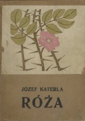 Okładka książki Róża: dramat niesceniczny Stefan Żeromski