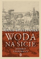 Okładka książki Woda na sicie Anna Brzezińska