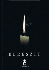 Okładka książki Bereszit Bonawentura Michał Wierzejewski