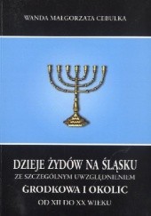 Okładka książki Dzieje Żydów na Śląsku ze szczególnym uwzględnieniem Grodkowa i okolic od XII do XX wieku Wanda Małgorzata Cebulka