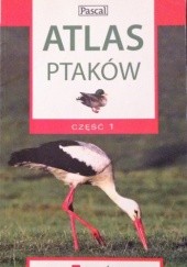 Okładka książki Atlas ptaków. Część 1 Marcin Karetta