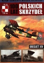 100 Lat Polskich Skrzydeł - Breguet XIV